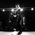 flamenco (112)